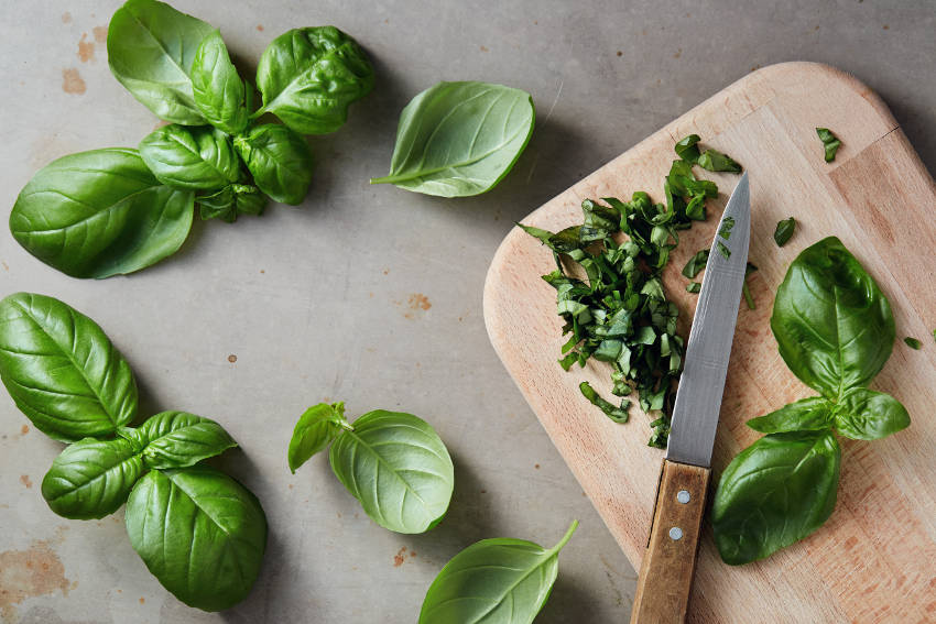 Basil in the Kitchen